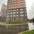 Классико гранит Хаски