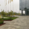 Антара Шунгит